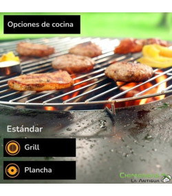 BARBACOA DE LEÑA BONBIZA