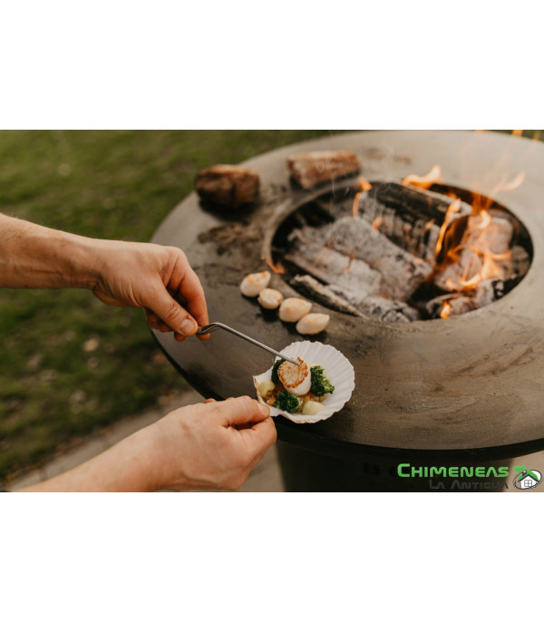 BARBACOA DE LEÑA BONBIZA