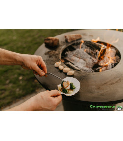 BARBACOA DE LEÑA BONBIZA