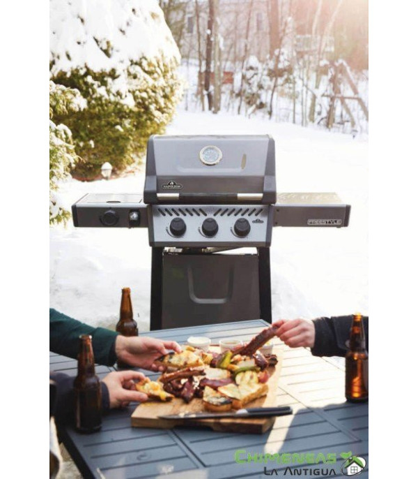 BARBACOA DE GAS FREESTYLE 365 SB