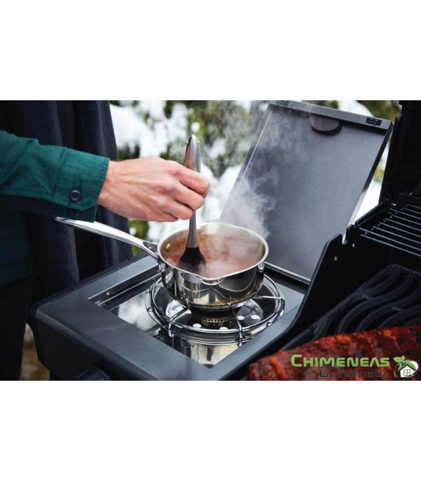 BARBACOA DE GAS FREESTYLE 365 SB