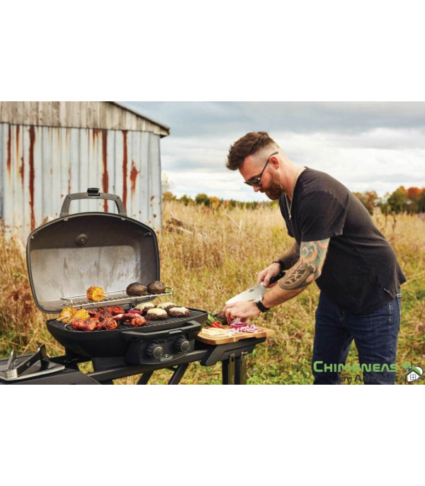 BARBACOA DE GAS PHANTOM TRAVELQ PRO285X