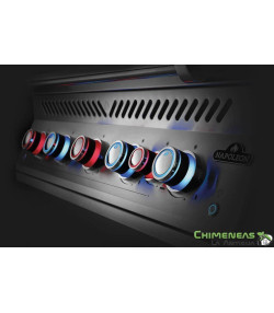 BARBACOA DE GAS SERIE 700 INTEGRADA DE 32'' con quemador trasero infrarrojo