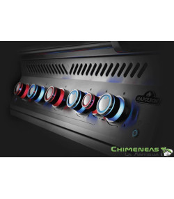 BARBACOA DE GAS SERIE 700 INTEGRADA DE 38 con quemador trasero infrarrojo