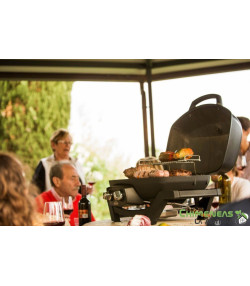 BARBACOA DE GAS TRAVELQ PRO285