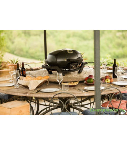 BARBACOA DE GAS TRAVELQ PRO285