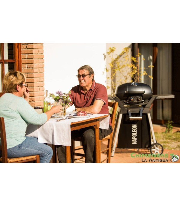 BARBACOA DE GAS TRAVELQ PRO285