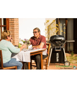 BARBACOA DE GAS TRAVELQ PRO285