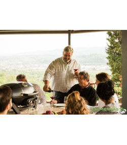 BARBACOA DE GAS TRAVELQ PRO285