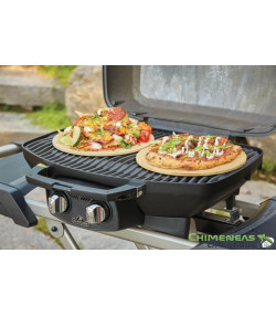 BARBACOA DE GAS TRAVELQ PRO285X