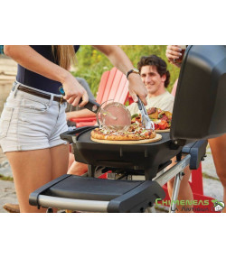 BARBACOA DE GAS TRAVELQ PRO285X