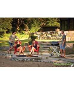 BARBACOA DE GAS TRAVELQ PRO285X