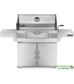 BARBACOA DE CARBÓN PROFESIONAL PRO605CSS