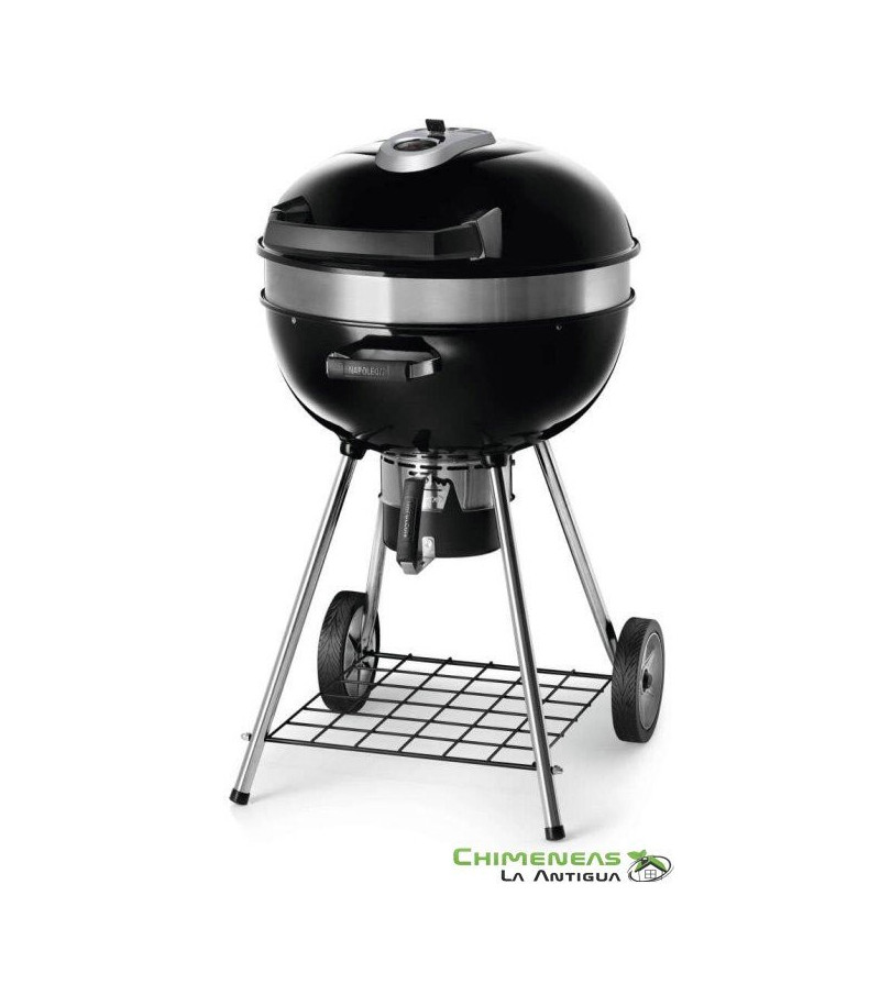 BARBACOA DE CARBÓN PRO NEGRO PRO22K