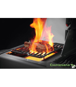 BARBACOA DE GAS PHANTOM ROGUE 425 NEGRA