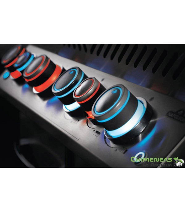 BARBACOA DE GAS PHANTOM ROGUE 425 NEGRA