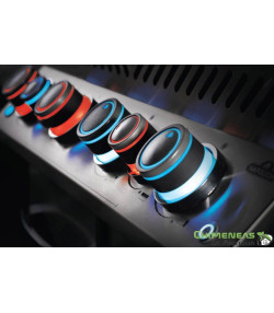 BARBACOA DE GAS PHANTOM ROGUE 425 NEGRA