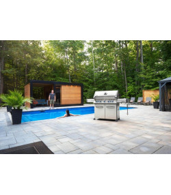 BARBACOA DE GAS PRESTIGE 665 RSIB