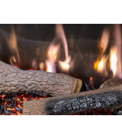 CHIMENEA ELECTRICA GO ECO MW 150 APP
