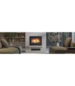 INSERTABLE DE LEÑA C-10 SE